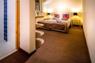 Отели типа «постель и завтрак» Rezydencja na Wzgórzu Лодзь Улучшенный двухместный номер с 1 кроватью-7